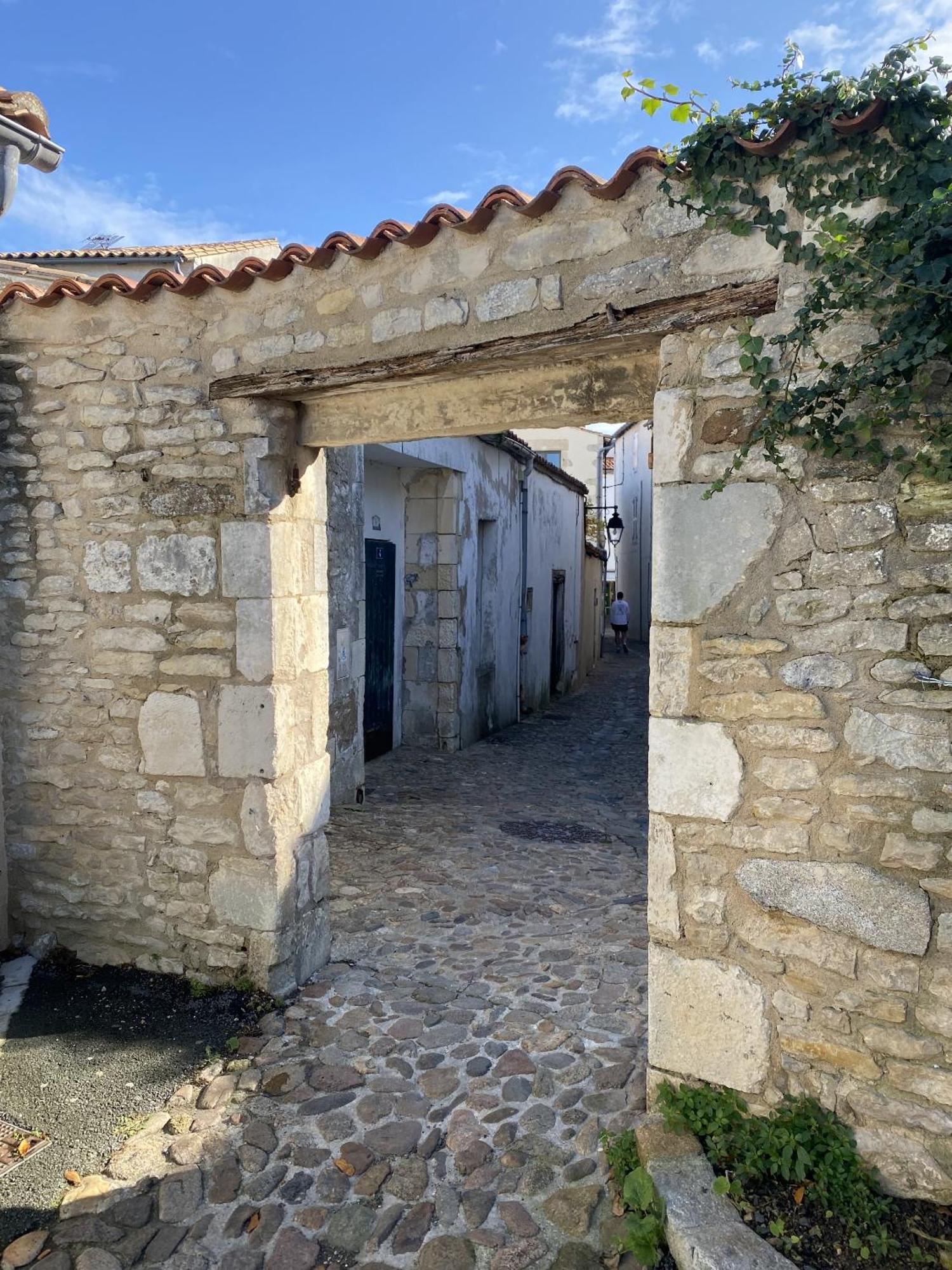 Les Remparts Apartment Saint-Martin-de-Re Bagian luar foto