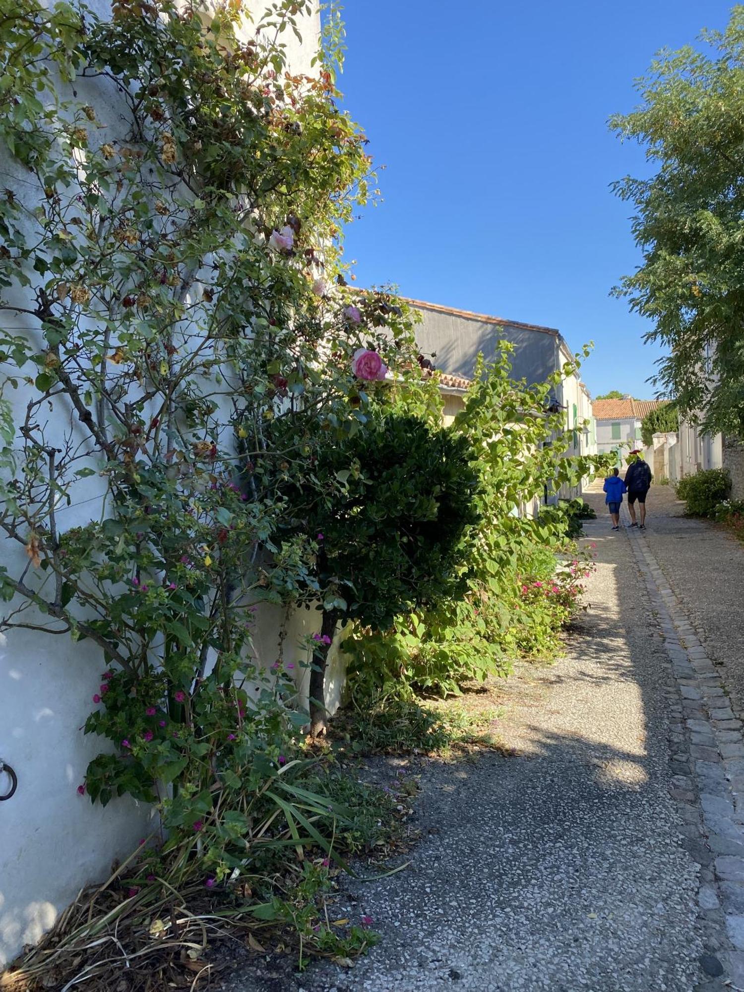 Les Remparts Apartment Saint-Martin-de-Re Bagian luar foto